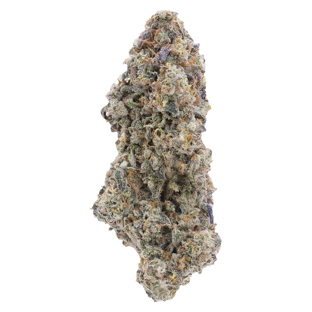 Northern Canna - True Mints - True Mints 7g Dried Flower